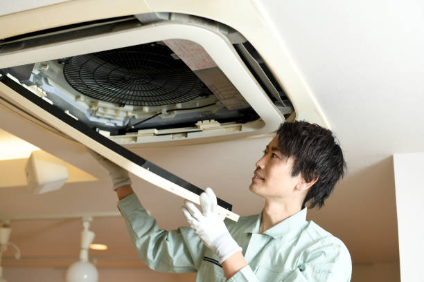 Best Residential Air Duct Cleaning  in Peotone, IL