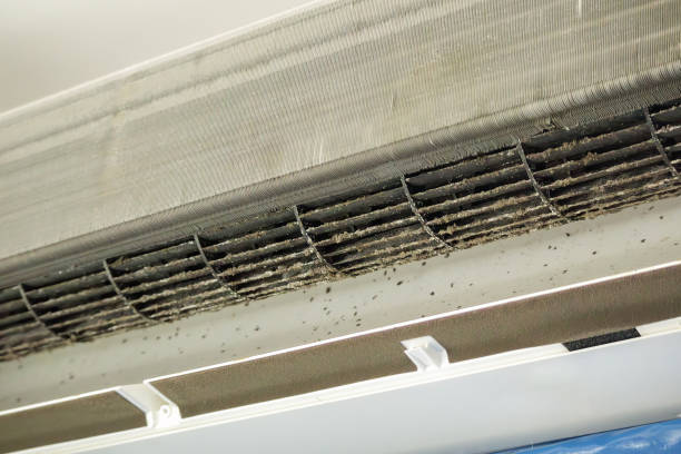 Best Best Air Duct Cleaning Company  in Peotone, IL